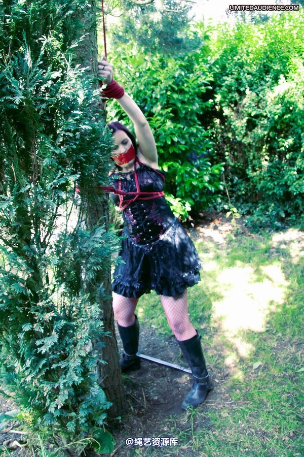 limitedaudience - 2011 carmina and the tree 3 第 6 张图片