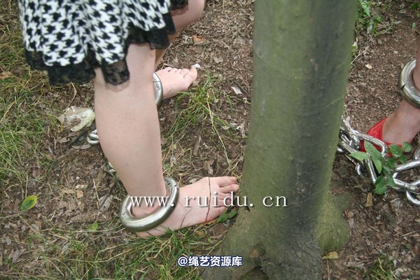 锐度主张 - 2009年第一期镣铐图（2009.1.6） 第 71 张图片