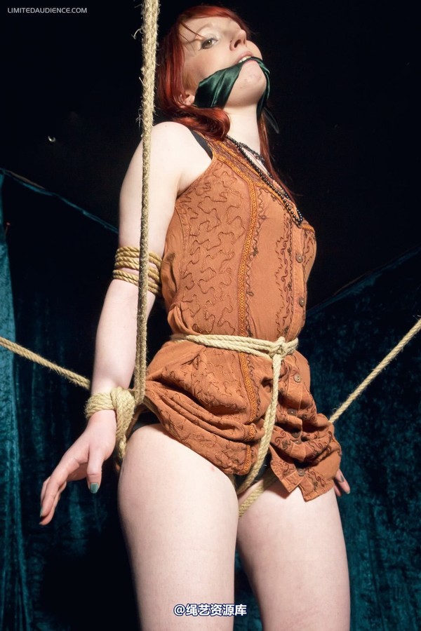 limitedaudience - 2012 syrah lee rope web 第 2 张图片