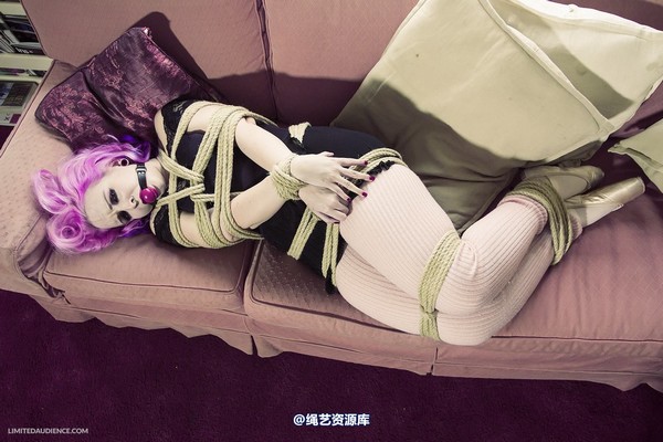 limitedaudience - 2013 assisted suicide interrupted ballet practice 第 11 张图片
