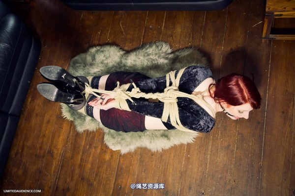 limitedaudience - 2012 syrah lee hogtied 第 27 张图片