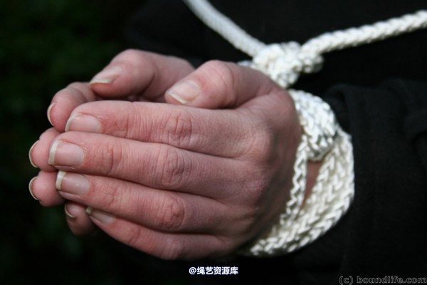 boundlife - bl228 第 8 张图片