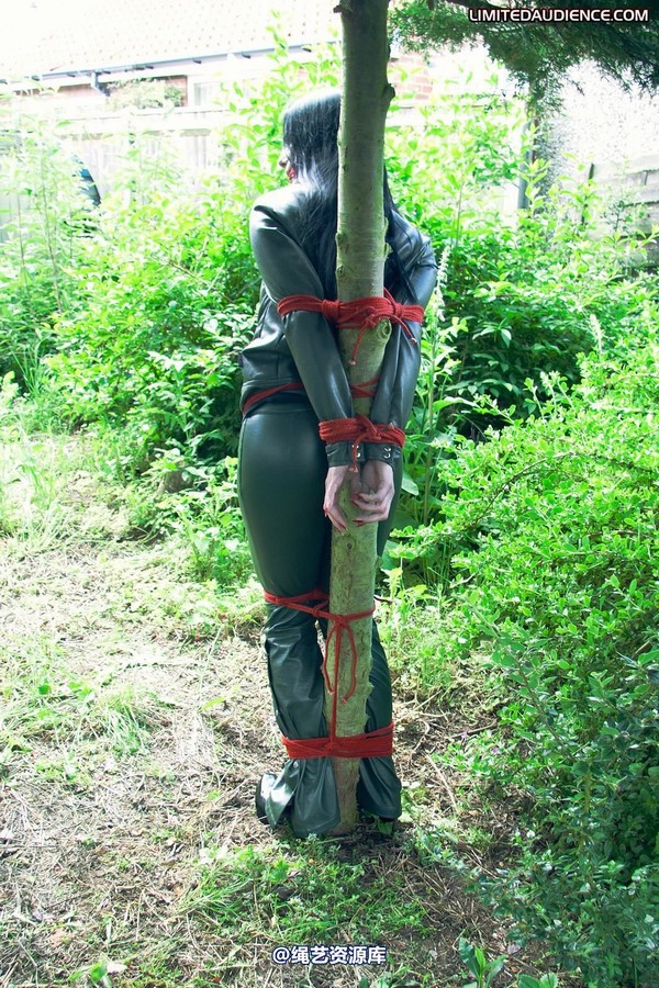 limitedaudience - 2011 rebekka raynor one with the tree 2 第 32 张图片
