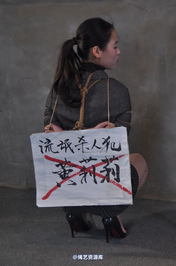 mj影视 - 一个白领在严打中的遭遇 第 505 张图片