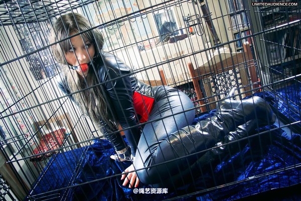 limitedaudience - 2011 sapphire cagey business 第 17 张图片