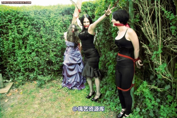 limitedaudience - 2009 catya elyssia lolly pleasure reserves 第 13 张图片