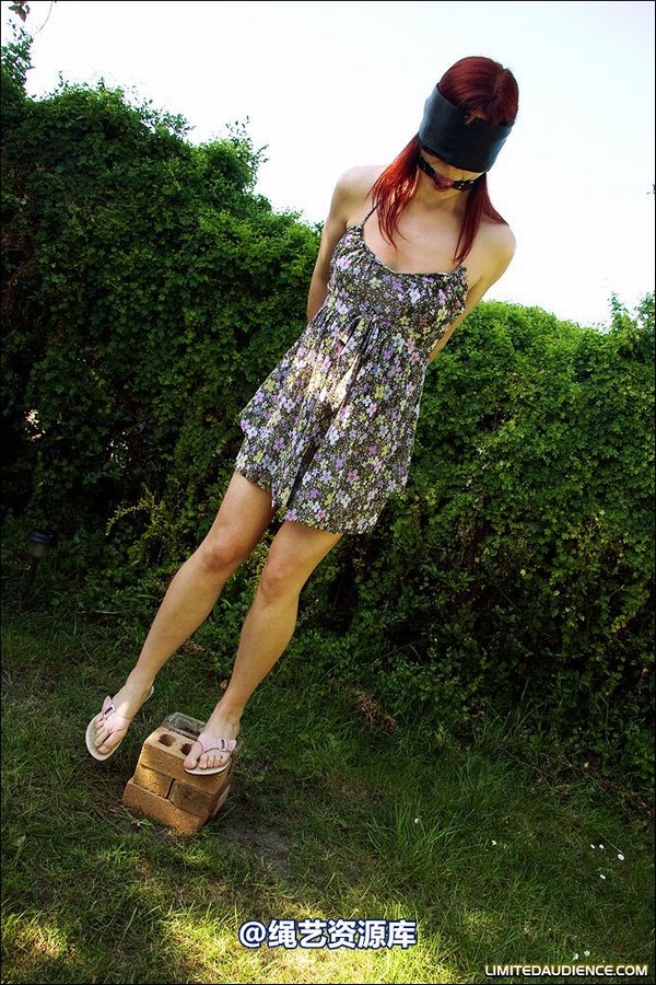 limitedaudience - 2008 scarlett blind balancing act 第 11 张图片