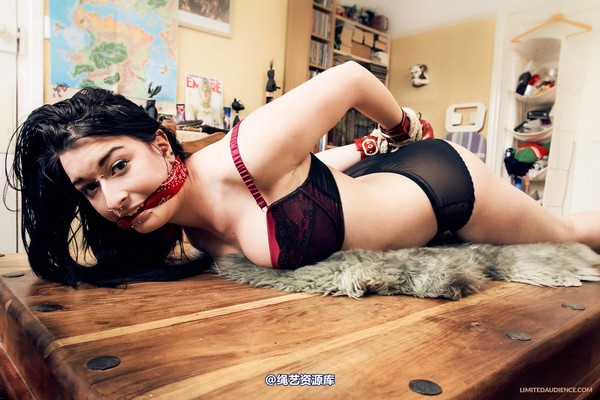 limitedaudience - 2013 stacey von table ties 2 第 32 张图片