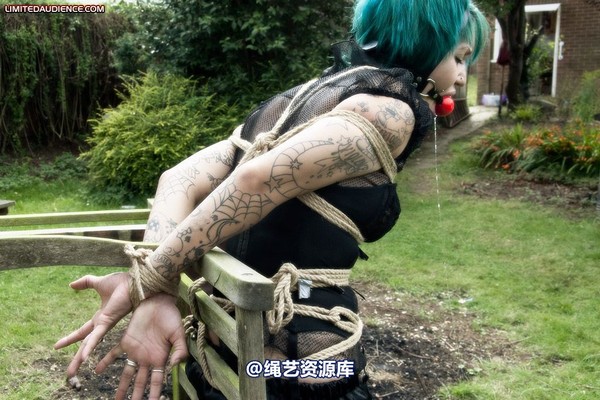 limitedaudience - 2009 b captive pixie 第 12 张图片