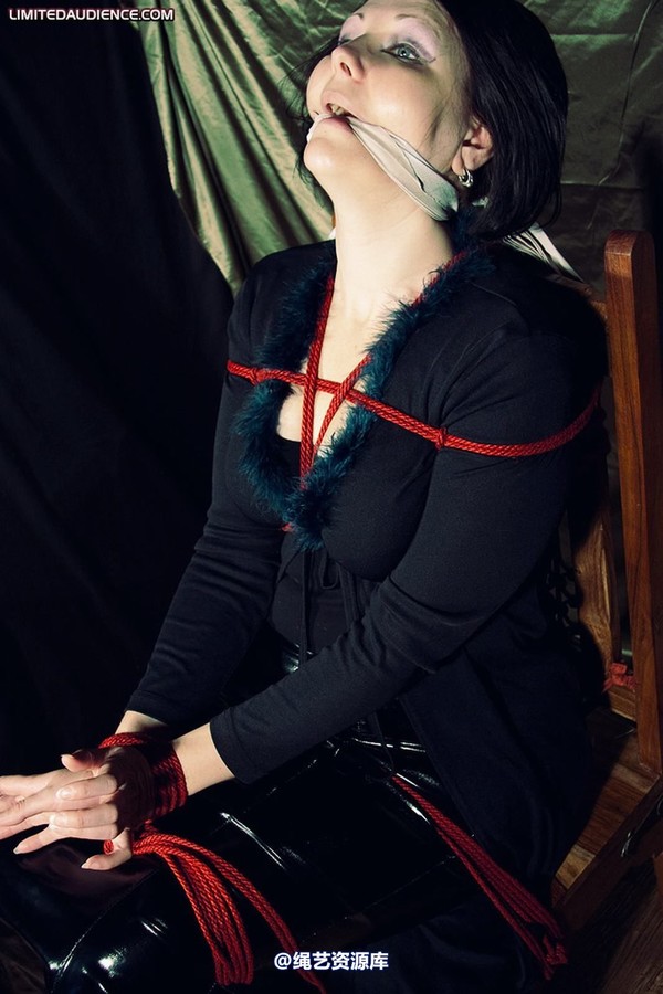 limitedaudience - 2010 deception helpless prisoner 2 第 4 张图片