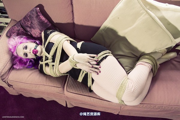limitedaudience - 2013 assisted suicide interrupted ballet practice 第 8 张图片