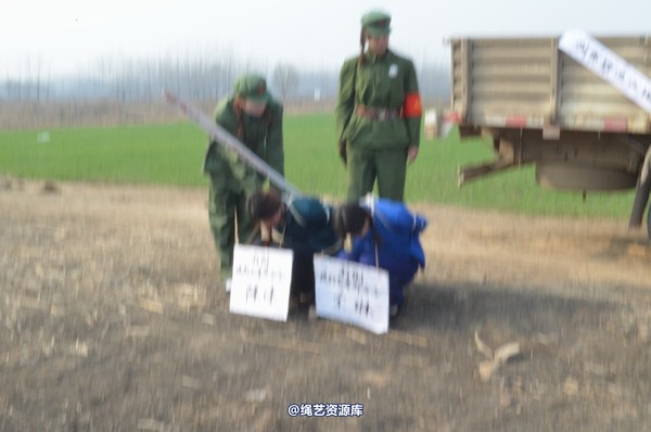 mj影视 - 一个记者的自白1 第 619 张图片