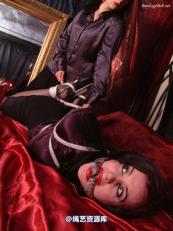 bondagebob - Morrigan and Lydia I'll fix you! 第 47 张图片