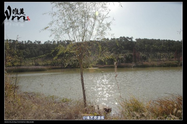 唯美之家 - 2008-11-27萧雅 第 333 张图片