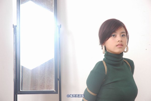 唯美之家 - 叶子2010-1-21 第 71 张图片