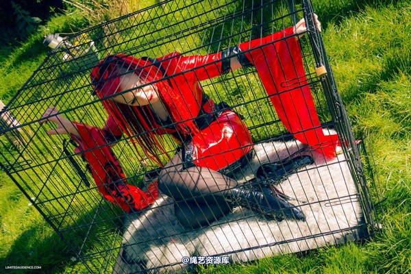 limitedaudience - 2015 raevan into the cage 第 27 张图片