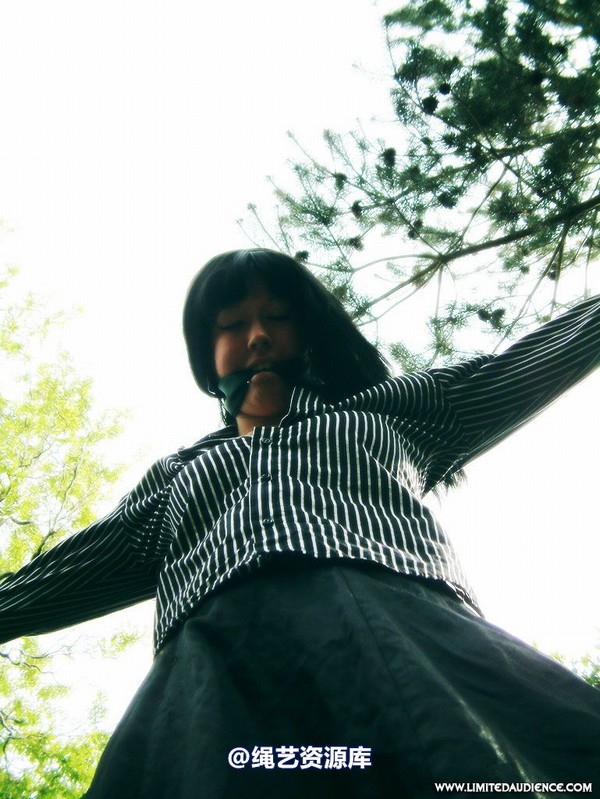 limitedaudience - 2007 nattsuko spread between trees 第 43 张图片