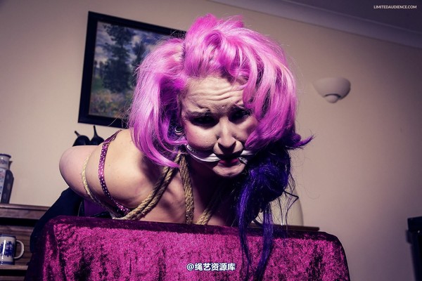 limitedaudience - 2013 assisted suicide hogtie centre piece 第 27 张图片