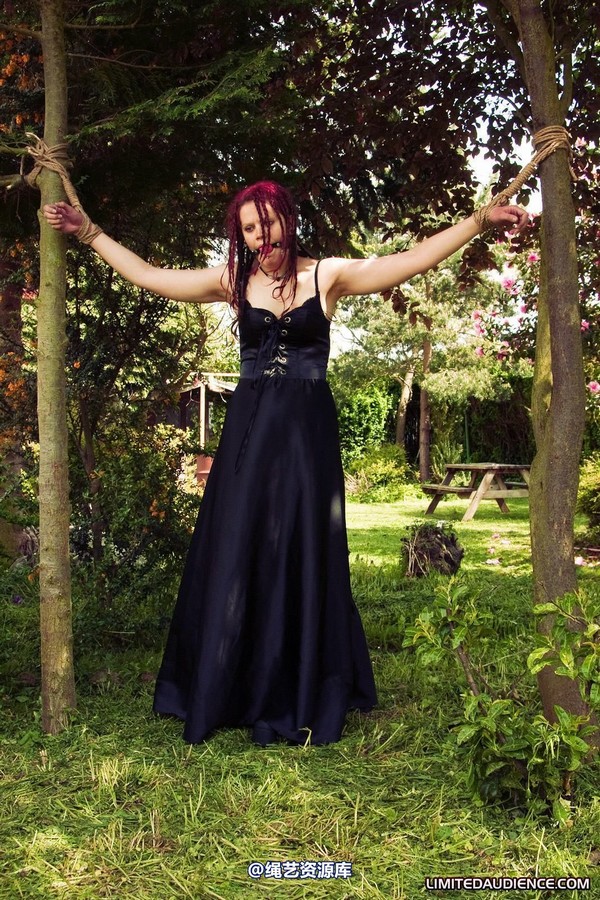 limitedaudience - 2010 beckykat between trees 第 32 张图片