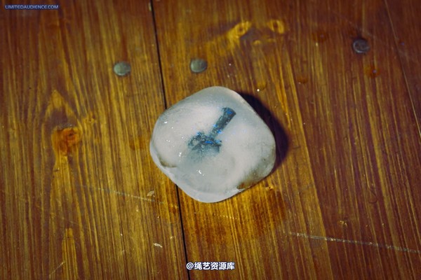 limitedaudience - 2012 elyssia ice prison 第 6 张图片