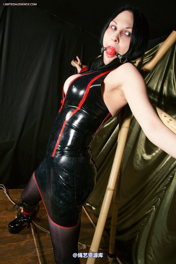 limitedaudience - 2012 elyssia bamboo contraption 2 第 11 张图片