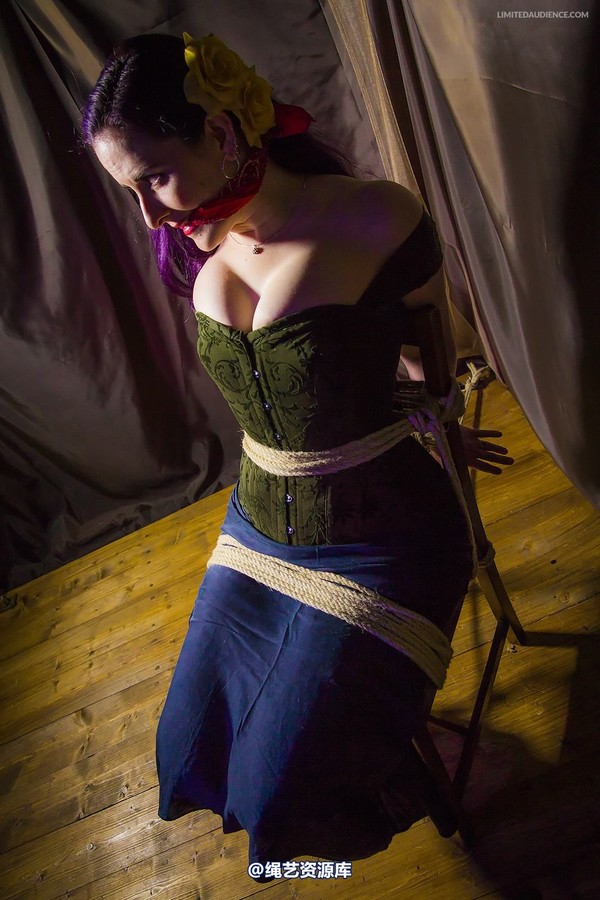 limitedaudience - 2014 caroline pierce captured damsel 2 第 20 张图片