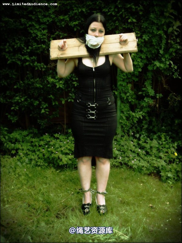 limitedaudience - 2007 asphyxia silenced secretary 第 4 张图片