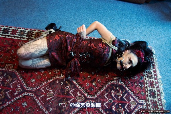 limitedaudience - 2008 andromedax hogtied 第 3 张图片