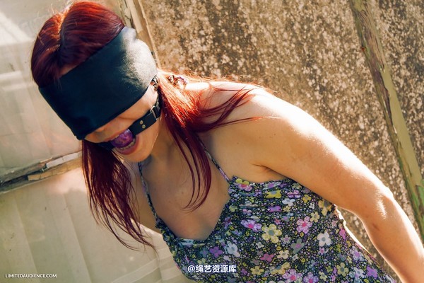 limitedaudience - 2013 scarlett blindfolded walk 第 7 张图片