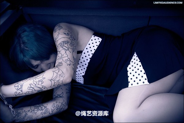 limitedaudience - 2008 b trapped in the boot 第 27 张图片