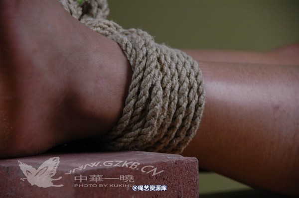 中华一晓 - 中华一晓 NO.0006 第 220 张图片