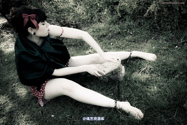 limitedaudience - 2012 dominick destruction escape and punishment 第 4 张图片