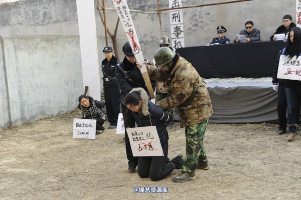 mj影视 - 2014-01-23 新春严打套图1 第 800 张图片