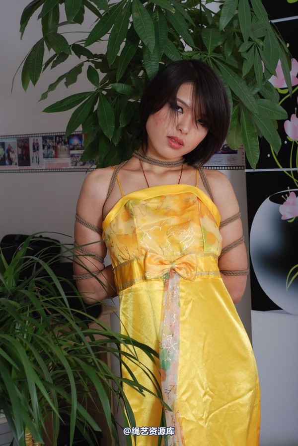 唯美之家 - 书兰-黄礼服 第 77 张图片