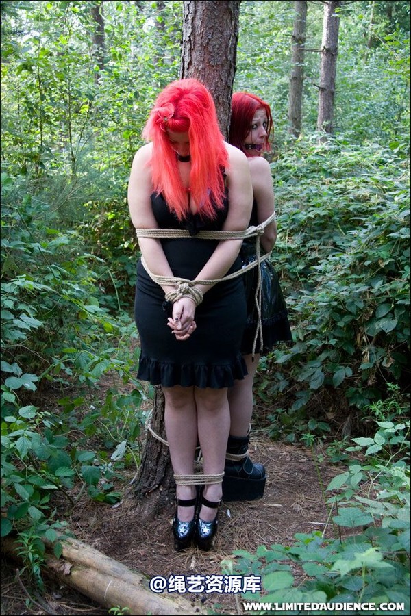 limitedaudience - 2007 asphyxia b nattsuko lost in the woods 第 60 张图片