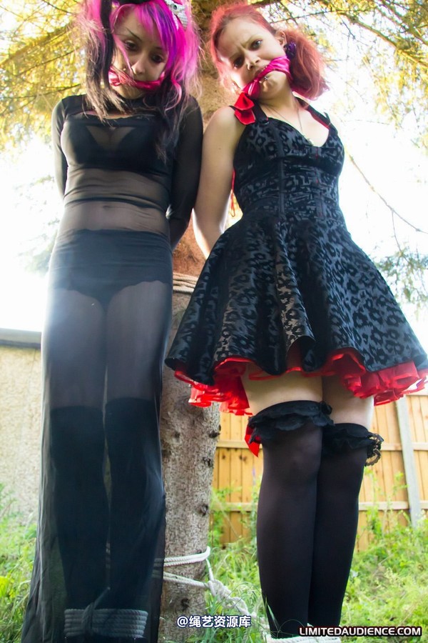 limitedaudience - 2011 beckykat loltaru moored to tree 2 第 11 张图片
