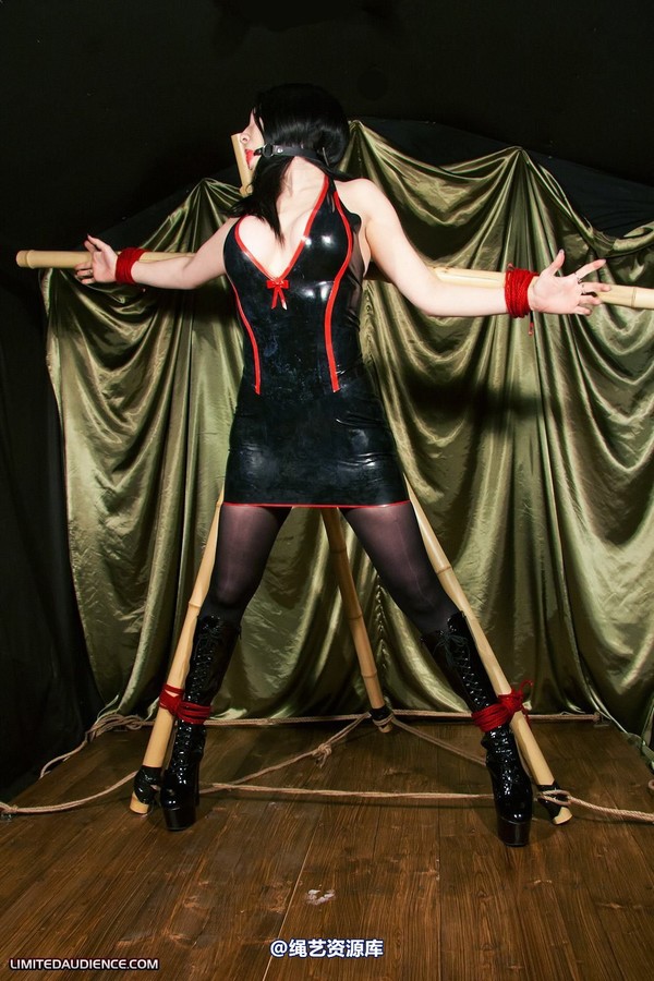 limitedaudience - 2011 elyssia bamboo contraption 第 42 张图片