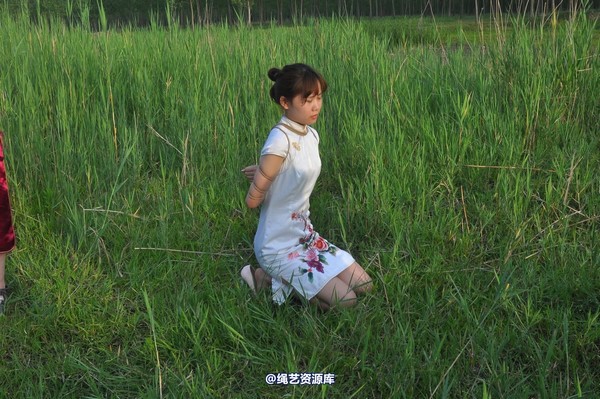 mj影视 - 凤凰烈焰 第 354 张图片