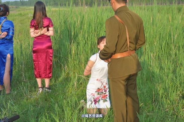 mj影视 - 凤凰烈焰 第 343 张图片