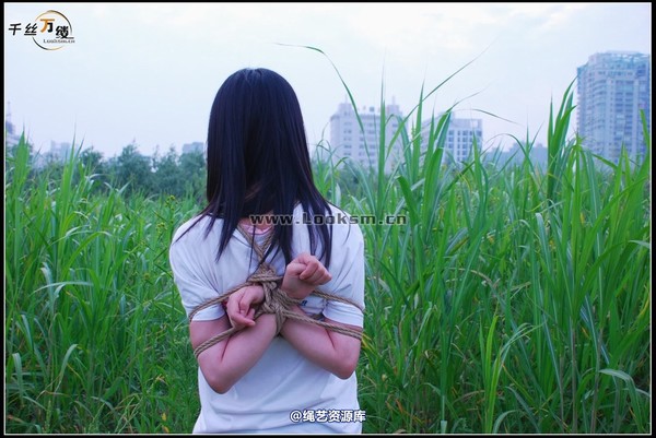 千丝万缕 - 2008-04-29-4日 第 6 张图片