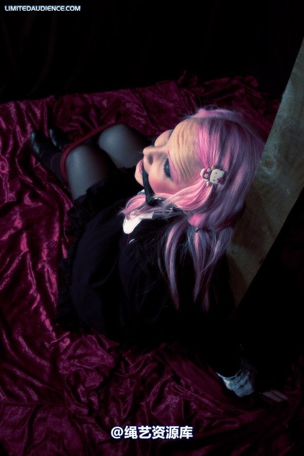 limitedaudience - 2009 assisted suicide taken 第 26 张图片