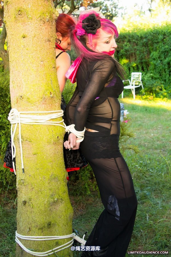 limitedaudience - 2011 beckykat loltaru moored to tree 第 16 张图片
