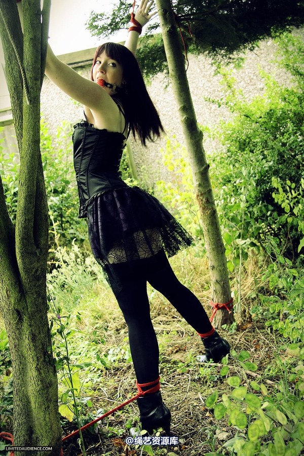 limitedaudience - 2013 syrah lee helpless outdoors 2 第 35 张图片