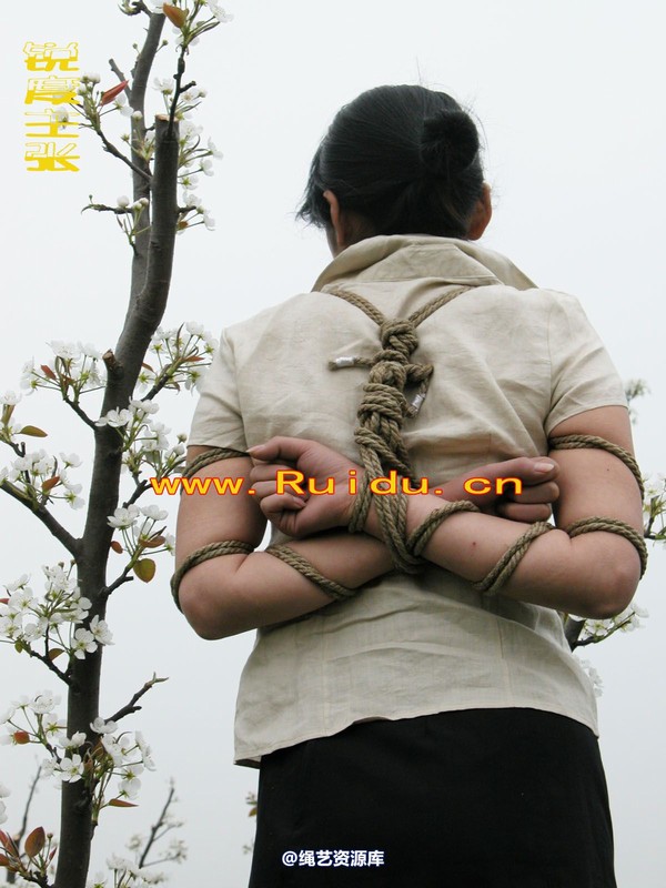 锐度主张 - 婷婷和寒冰梨花林中 第 46 张图片