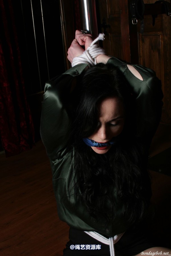 bondagebob - Morrigan Lets have a pole 第 80 张图片