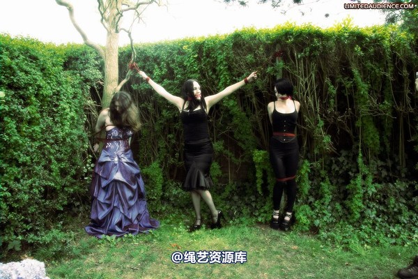 limitedaudience - 2009 catya elyssia lolly pleasure reserves 2 第 8 张图片