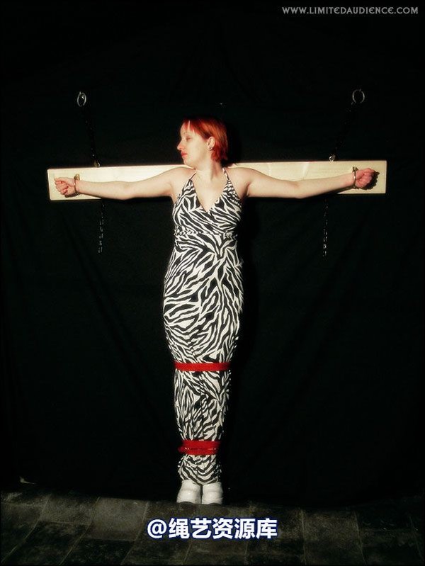 limitedaudience - 2007 erin chained animal 第 9 张图片
