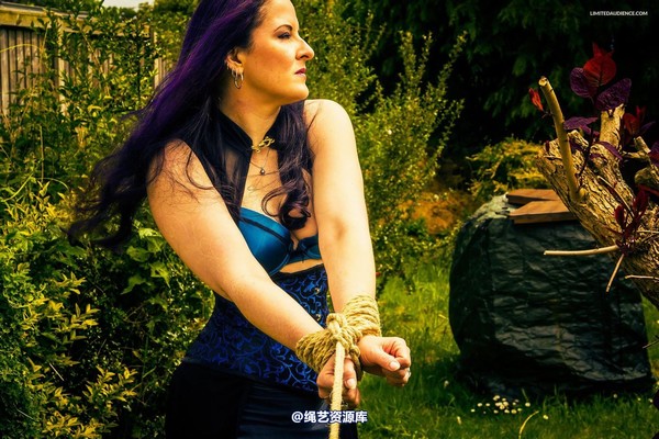 limitedaudience - 2015 caroline pierce from merchant lady to slave 第 3 张图片