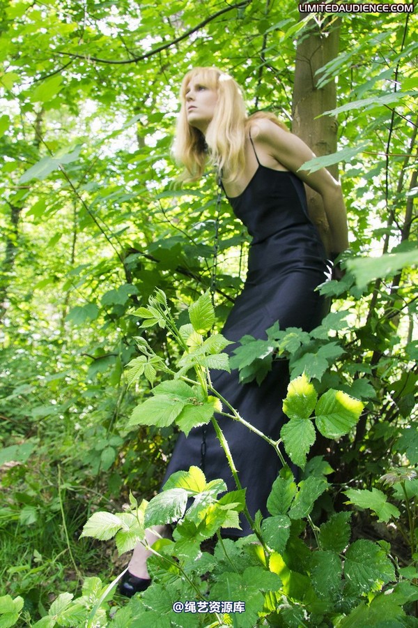 limitedaudience - 2011 ariel chained in the forest 第 27 张图片