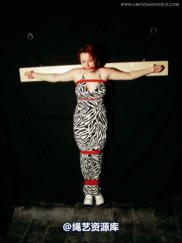 limitedaudience - 2007 erin chained animal 第 40 张图片